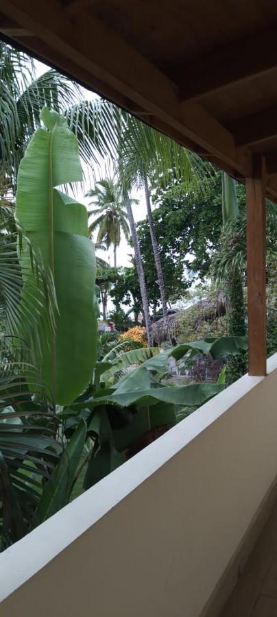 Guest House My Way Las Terrenas Ngoại thất bức ảnh