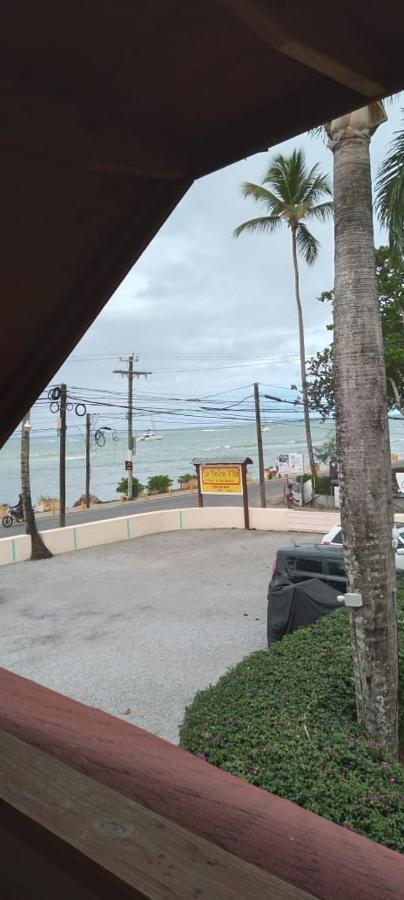 Guest House My Way Las Terrenas Ngoại thất bức ảnh